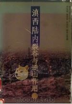 滇西陆内裂谷与造山作用  滇西地区印支期后的构造演化（1996 PDF版）