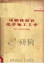 可燃性页岩化学加工工学 1956 PDF电子版封面 (苏)连巴舍夫斯基(А.Г.Рембашевский)著;钱