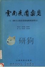 云南变质杂岩 1∶200万云南省变质地质图说明书 1989 PDF电子版封面 7541602124 薛玺会,熊家镛,胡英等编