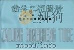 凿井工程图册  第2分册  立井凿井专用设备（1988 PDF版）