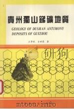 贵州独山锑矿地质 1994 PDF电子版封面 7541616901 王学昆,金世昌著