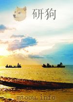 大泽 1990 PDF电子版封面 彭见明著