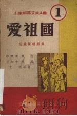 爱祖国  抗美援朝剧集   1951  PDF电子版封面    时乐濛，傅仇，王知十等著 
