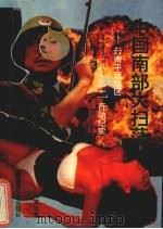 中国南部大扫荡  云南平远地区“8.31”行动纪实（1993 PDF版）
