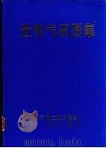 世界气田图集 1991 PDF电子版封面 7502105077 李国玉,唐养吾等编