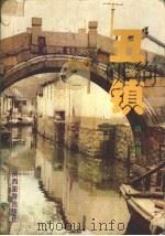 丑镇   1995  PDF电子版封面  7541812064  峭石著 
