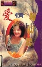 爱情轮回器 1998 PDF电子版封面 7806073299 (台湾)雨菱著