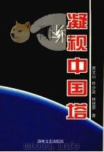 凝视中国塔   1994  PDF电子版封面  7805347506  黄文山，叶少波，林世恩著 