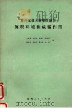 贵州东部大塘坡组地层沉积环境和成锰作用   1985  PDF电子版封面  15115·176  王来兴，朱顺才，朱鸿等著 