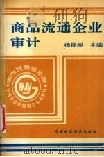 商品流通企业审计 1994 PDF电子版封面 7500524889 杨锦昶主编