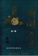 田阳文史  第一辑（1990 PDF版）