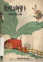 兔妈妈种萝卜  儿童歌舞剧（1958 PDF版）