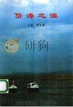 岱海之滨 1996 PDF电子版封面 7805952450 傅文耀主编