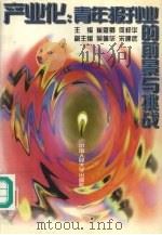 产业化：青年报刊业的前景与挑战   1997  PDF电子版封面  730002372X  崔恩卿等编 