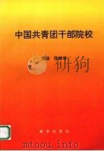 中国共青团干部院校 1993 PDF电子版封面 7505402072 张修学主编