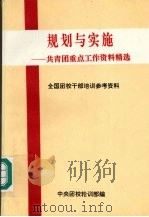 规划与实施：共青团重点工作资料精选     PDF电子版封面    戈玲，李宝国主编 