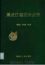 黑龙江省泥炭资源（1999 PDF版）
