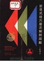 折迭式经穴层次解剖图解 下肢部分 1986 PDF电子版封面 7532309614 严振国主编