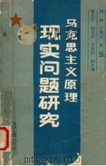 马克思主义原理现实问题研究   1989  PDF电子版封面  7206005241  周林，王秀仪主编 