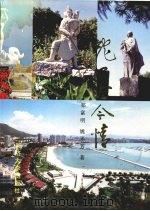 蛇口古今情 1991 PDF电子版封面 7560802079 邹富明,姚平芳著