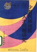 少数民族地区人才问题研究 1995 PDF电子版封面 7541206237 王文科,潘正才等著