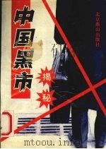 中国黑市揭秘 1993.04 PDF电子版封面 7540206322 南荻编