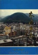 岑溪市志 1996 PDF电子版封面 7219034474 陈旭相主编;岑溪市志编纂委员会编