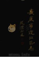 安庆市迎江区志   1993  PDF电子版封面  7805357127  安庆市迎江区编史修志领导小组 
