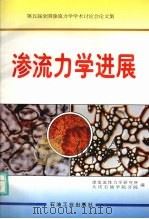 渗流力学进展 第五届全国渗流力学学术讨论会论文集 1996 PDF电子版封面 7502117725 渗流流体力学研究所,大庆石油学院分院编