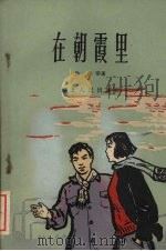 在朝霞里 1960 PDF电子版封面 T10106·414 洪洋等著