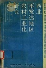 西北不发达地区农村工业化研究（1991 PDF版）