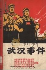 武汉事件_12090470 PDF电子版封面