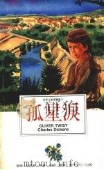 孤星泪 1995 PDF电子版封面 9577971288 (英)查理·狄更斯著