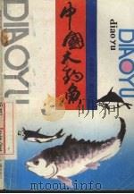 中国大钓鱼（1991 PDF版）