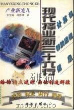 产业新宠儿:计算机业·移动通信业·信息业 1997 PDF电子版封面 7806156089 李五一,班国春,张会军等主编