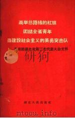 高举总路线的红旗团结全省青年当建设社会主义的英勇突击队 共青团湖北省第三次代表大会文件 1960 PDF电子版封面 T3106·231 共青团湖北省委办公室编