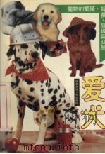 爱犬（1993 PDF版）