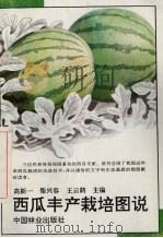 西瓜丰产栽培图说（1995 PDF版）