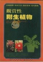 观赏性附生植物（1981 PDF版）
