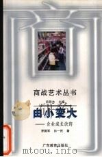 由小变大 企业成长诀窍 1996 PDF电子版封面 7540632437 罗殿军,孙一民著