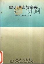 审计理论与实务   1995  PDF电子版封面  7501129509  孙文生，李良武主编 