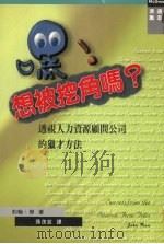 嘿!想被挖角吗? 透视人力资源顾问公司的独才方法 1999 PDF电子版封面 9574931781 约翰·劳原著