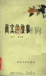 真实的故事 1959 PDF电子版封面 10106·347 赵寻,蓝光著