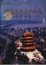 武汉在改革中奋进 1987 PDF电子版封面 黎智主编