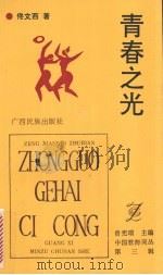 青春之光 1992 PDF电子版封面 7536319320 佟文西著