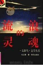 流浪的灵魂（1995 PDF版）