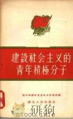 建设社会主义的青年积极分子 1956 PDF电子版封面 中国新民主主义青年团湖北省委员会宣传部辑