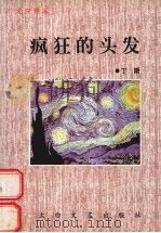疯狂的头发 1996 PDF电子版封面 7806053220 丁斯著