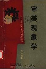 审美现象学   1995  PDF电子版封面  7805468818  罗安宪著 