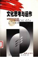 文化思考与运作 1996 PDF电子版封面 7501132100 荀凤栖著